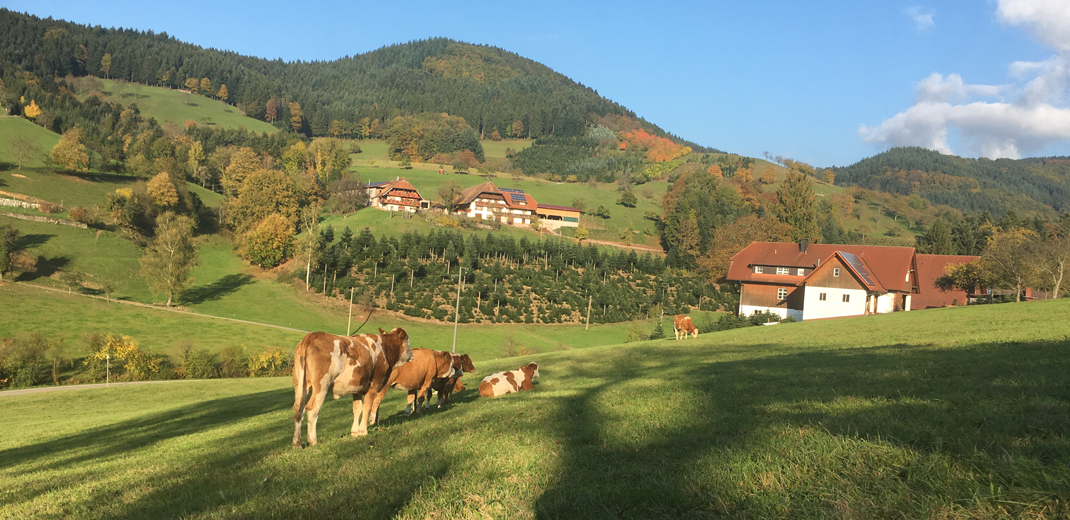 Fleischkonsum im Ayurveda