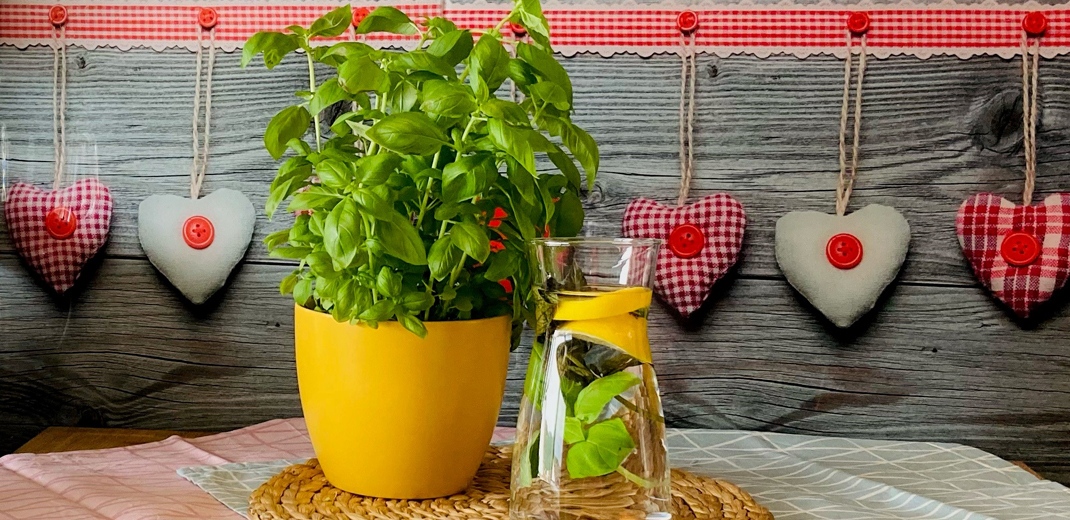 Ayurvedisches Sommergetränk
