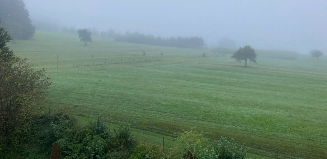 Herbstzeit im Ayurveda